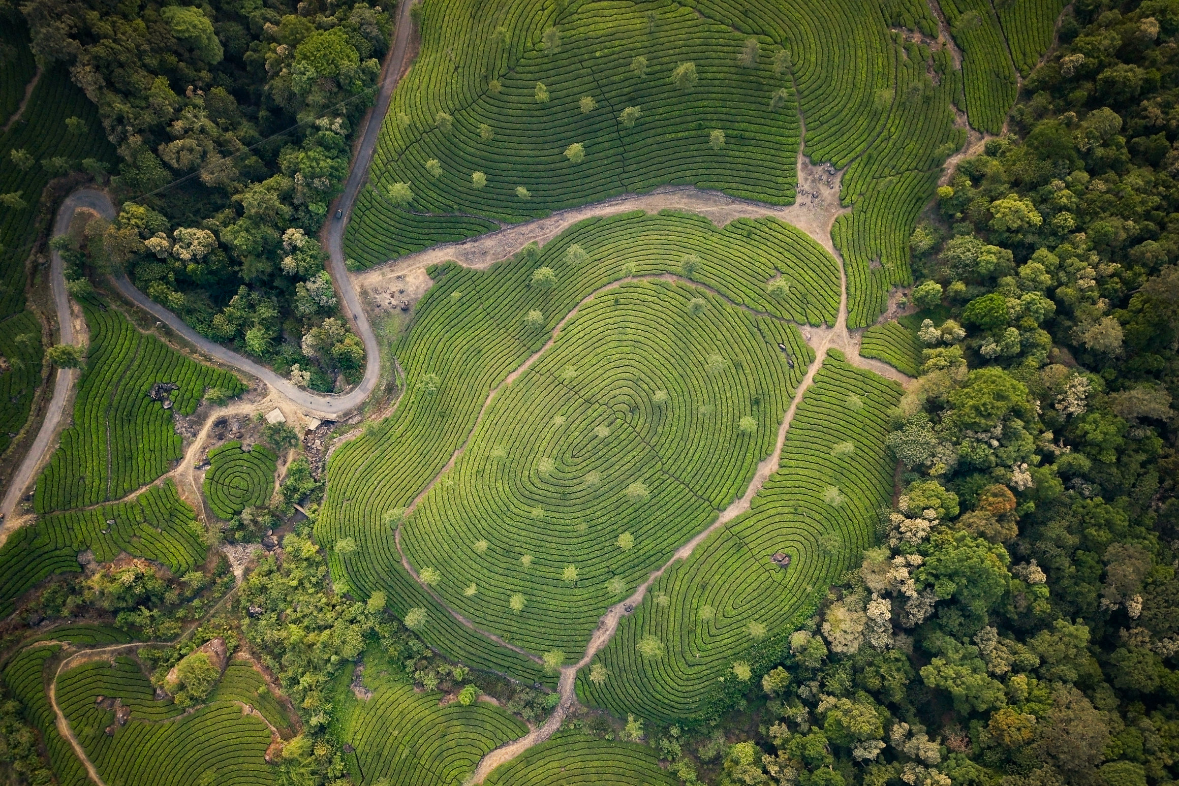 Aerial Drone Photography - South Asia